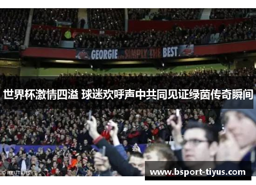 世界杯激情四溢 球迷欢呼声中共同见证绿茵传奇瞬间 世界杯激情四溢 球迷欢呼声中共同见证绿茵传奇瞬间