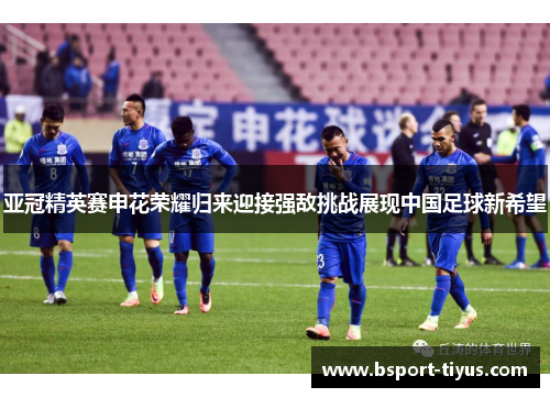 亚冠精英赛申花荣耀归来迎接强敌挑战展现中国足球新希望 亚冠精英赛申花荣耀归来迎接强敌挑战展现中国足球新希望