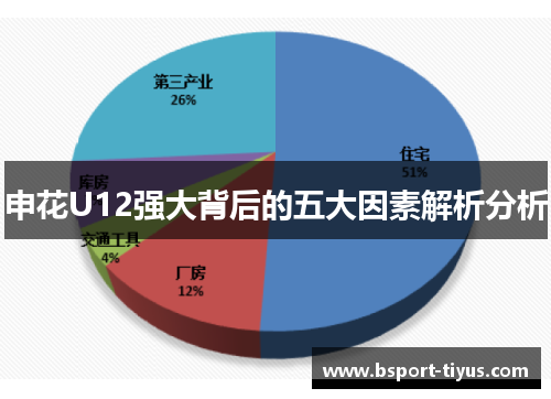 申花U12强大背后的五大因素解析分析 申花U12强大背后的五大因素解析分析