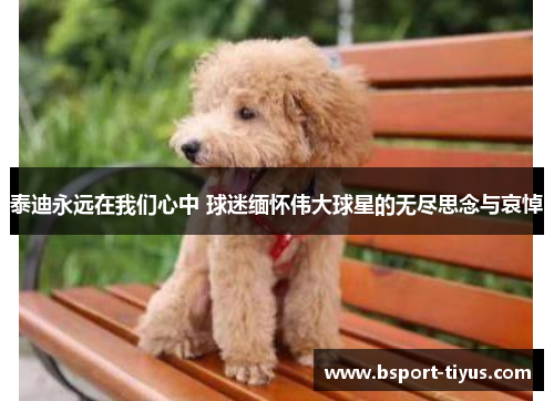 泰迪永远在我们心中 球迷缅怀伟大球星的无尽思念与哀悼 泰迪永远在我们心中 球迷缅怀伟大球星的无尽思念与哀悼